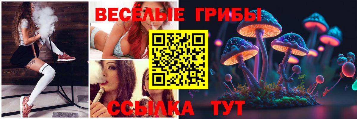 Псилоцибиновые грибы GOLDEN TEACHER  Вход с VPN  Советская Гавань 